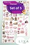 Girls Sticker Set Cute Pink Themed Sticker Set Sticker Set's