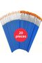 Set of 20 Synthetic Bristle Painting Brushes - 10 Pointed Tip + 10 Flat Tip Professional Artist Brushes
