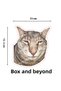 Crazy Cats Adhesive Sticker 15 - Car, Laptop, Macbook, Ipad, Tablet - 2
