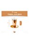Copper Shot Glasses Mexican Model Silver Color Set of 2 - 5