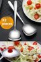 Stainless Steel Set of 2 Luxury Serving Spoons Food Salad Pastry Cake Oven and Chicken Serving Set