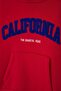 Red Girl/Boy Cotton Slogan Embroidered Thick Non-Embossed Knitted Sweatshirt Tkdaw26Sw00025 - 3