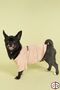 100% Organic Cotton Fabric Dog Clothing, Trouble Mink - 7