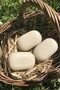 100% Natural Goat Milk Baby Soap and Storage Pouch Set - 8