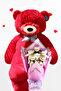 90cm Plush Bear and Lilac Soft Plush Teddy Bear Bouquet Gift for Lover Birthday Special Day Gift Set