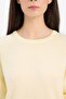 New Season Regular Fit Crew Neck Knitwear Sweater - 5
