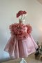 Special Design Girl's Dress, Flower and Pearl Detail, Ruffle Sleeves, Crown Accessory - 3