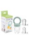 Chew & Feed Teether with Fruit Pacifier Duo-Mint - 6