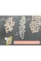Decal Wall Board with Magnets Kit | Magnetic Chalkboard and Whiteboard with 110 Letters & - 7