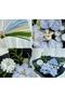 100S Chenille, Educational Chenille, Fuzzy Wire, Plush Wire, Velvet Chenille, Craft Material 30cm Baby Blue - 5