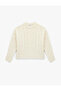 Hair Braid Textured Long Sleeve Crew Neck Pearl Detailed Knitwear Sweater