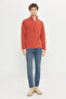 Men's Light Brown Anti-Pilling Non-Pilling Standard Fit Stand-up Collar Fleece Sweatshirt - 2
