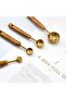 Small 4-Piece Wooden Handle Gold Luxury Measuring Spoon - Spice Spoon Set - 5