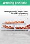 2 Layer Egg Organizer - 2
