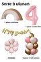 Retro 4 Year Old Daisy Themed Baby Girl Concept Birthday Set - 3