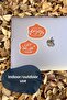 Motivational Themed Sticker Set - 8 Piece Sticker Set - Phone, Tablet, Notebook Laptop Compatible Sticker - 6