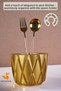 Countertop Spoon Holder Modern Countertop Spoon Holder Decorative Vertical Spoon Holder Gold Color Model 18 - 2