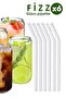 Fizz - Set of 6 Borosilicate Glass Straws