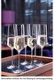 4PCS LEYDA TUMBLER SET 480 ML - 2
