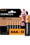 Type AAA Alkaline Batteries, pack of 12