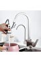 Kitchen Sink Faucet Dual Flow New Bass Check Water Purification Spout with Fountain Nickel Imported - 2