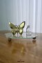 Curved Glass Tray with Wooden Base Decorative Organizer Stand for Makeup/Jewelry/Kitchen. - 2