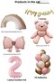 Pink Teddy Bear Age Balloon Rainbow Themed Baby Girl Concept Birthday Party Set Ornament - 4