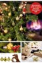 12Pcs Gold 2.5 cm Mini Christmas Ball, Christmas Pine Tree Ball, Ornament Ball - 3