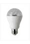 2W Disco Ampul (CT 4067) - 3