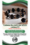 Certified Tourmaline-Tiger Eye-Hematite Natural Stone Bracelet