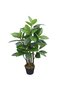 اشجار فيكس روبيستا اخضر الصناعية-90cm - 4