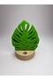 مجموعة من 3 قطع من مسند أكواب Monstera Leaf مع حامل - 4