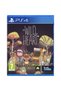 Wild At Heart - PS4 - 2