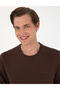 Brown 3 Thread Regular Fit Crew Neck Basic Sweatshirt 50315021-Vr029 - 2