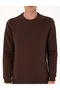 Brown 3 Thread Regular Fit Crew Neck Basic Sweatshirt 50315021-Vr029 - 6