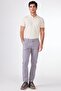 Men's Regular Fit Gray Trousers