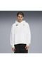 Future.Puma.Archive Hoodie Blue Men's Hoodie