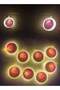 LED String Lights Suitable for Ramadan