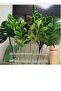 100-pack Chenille, Educational Chenille, Fuzzy Wire, Plush Wire, Velvet Chenille, craft material 30cm green - 2