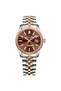 RD Series Men's Japanese Automatic Watch Stainless Steel Bracelet