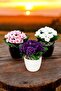 Artificial Flower Decorative Set of 3 Violets - 3