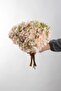 Luxurious Garnished Jasmine Flower Bouquet with 4 Branches 40 cm Powder - 4
