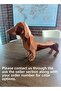 Dog Shaped Bottle Holder