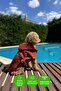 Waffle Dog Bathrobe Fast Water Absorbent Organic Cotton Fabric, Dog Clothing - Tile - 2