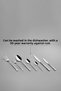 Fiesta Satin 12-Person 84-Piece Leather Boxed Cutlery Set - 4