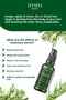 Rosemary Hair Serum Fast Growth Effect and Anti-Hair Loss - Organic Argan Oil, Vitamin E, Keratin - 4