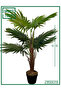 نخيل واشنطونيا الصناعي-90cm/9L