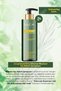 Miraculous 2-Piece Rosemary Shampoo Set Strengthening Purifying Salt-Free Rosemary Shampoo 400ml X2 - 7