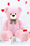 Big 90 cm Plush Bear and Romantic Plush Teddy Bear Bouquet with Led Lighted Pink Balloon Lover Gift Set - 3
