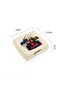 Double Compartment Nutrition Container Car - 2